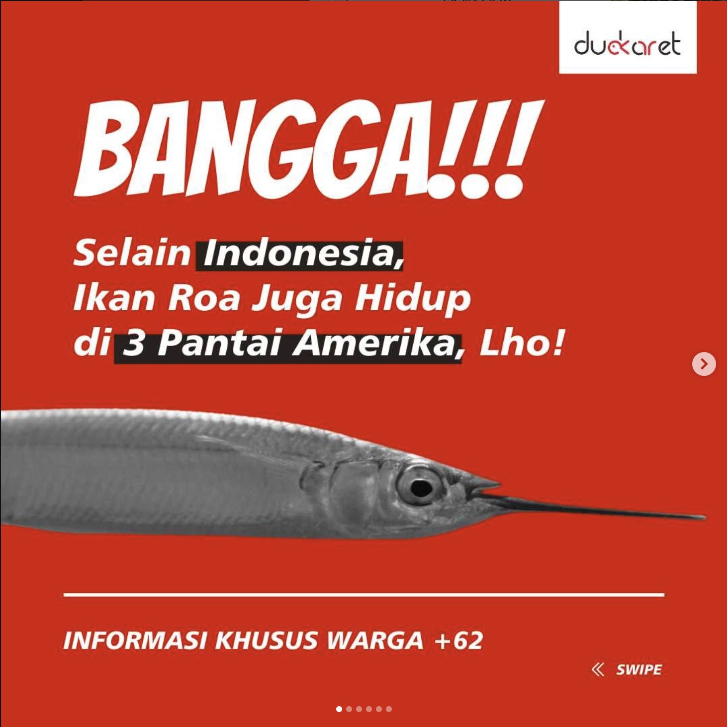 Ikan Roa: Kekayaan Rasa Nusantara yang Jadi Andalan Inkaya Pangan Indonesia